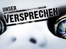 Title-Tag des Bildes Alt-Tag des Bildes